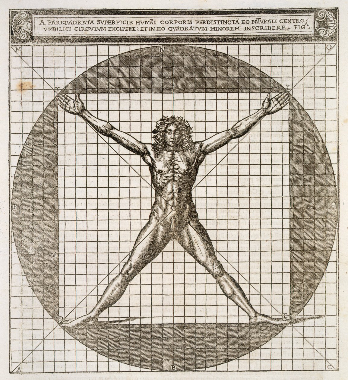Ideal proportions revealed to be based on the human body, from 