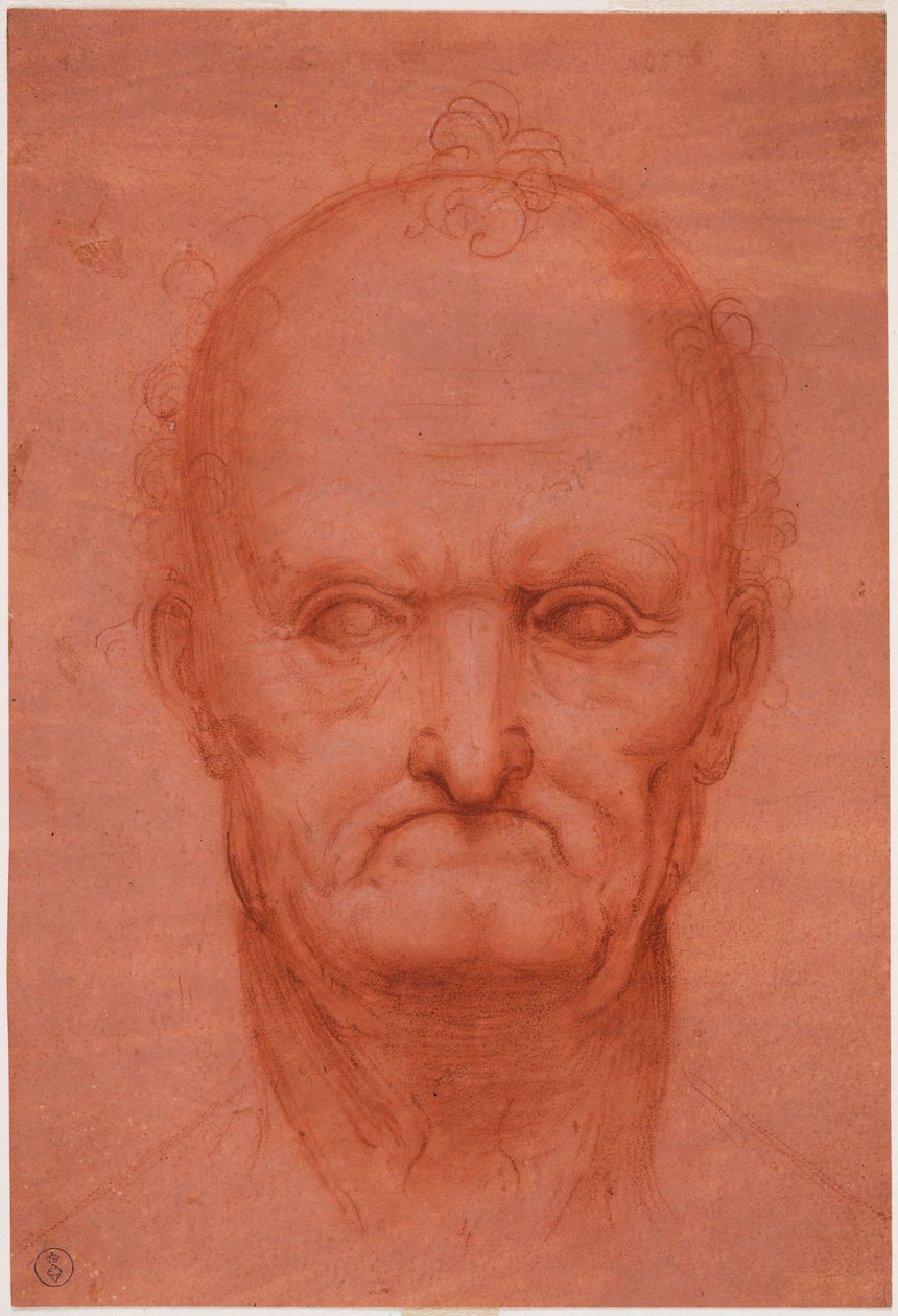 Head of Old Man by Cesare da attr.to Sesto