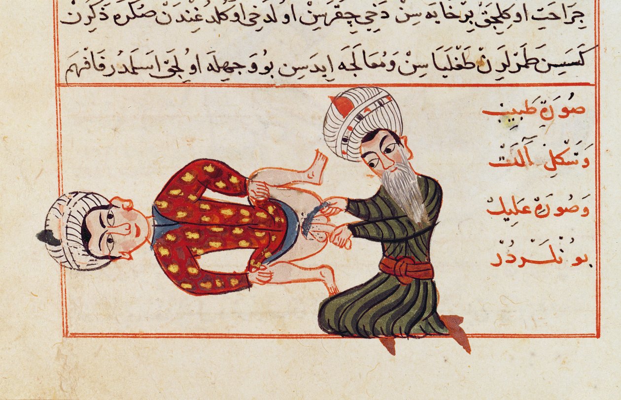 Operation for Castration, 1466 by Charaf ed Din