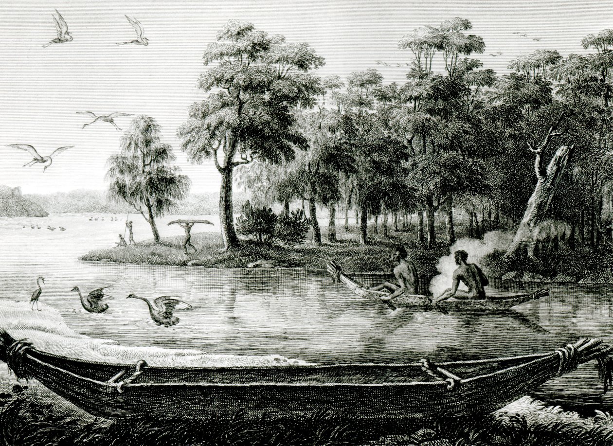 New Holland: New South Wales by Charles Alexandre Lesueur