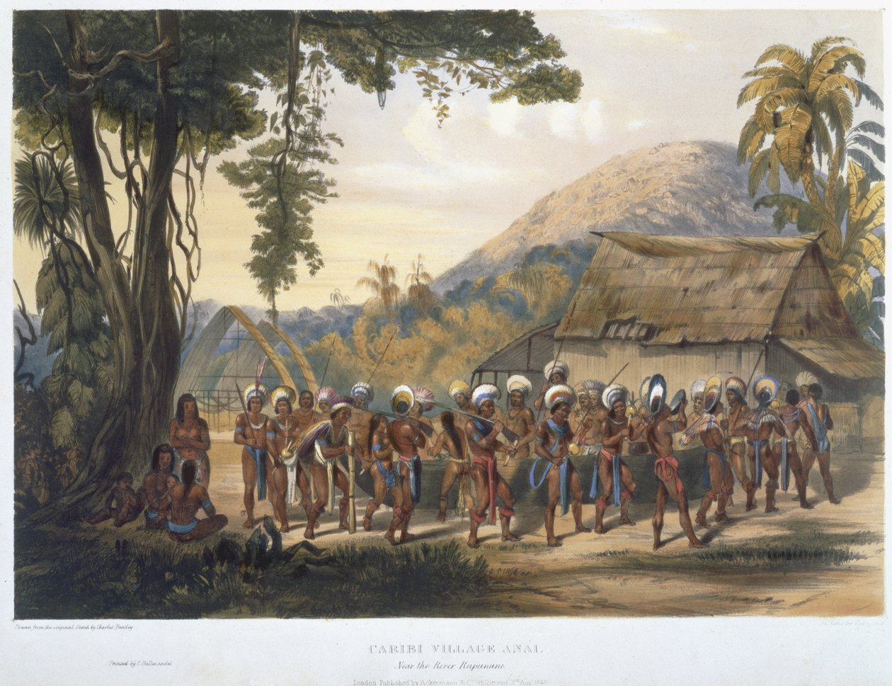 Caribi Village Anai, near the River Rupununi, from 