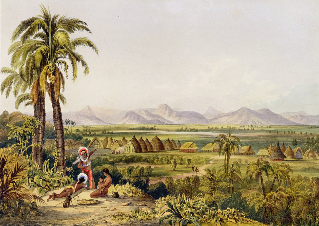 Pirara and Lake Amucu, The Site of Eldorado, printed by Georges Barnard, from 