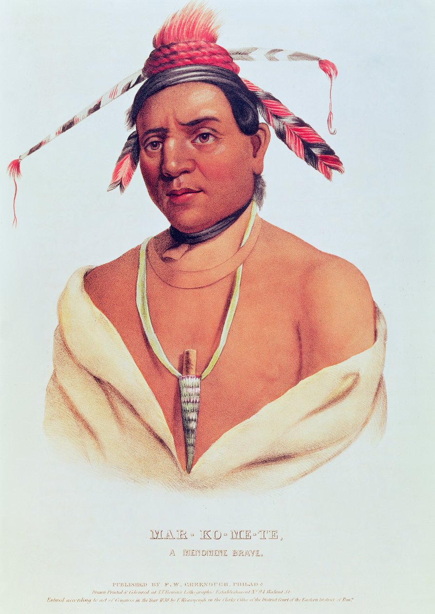 Portrait of Mar-Ko-Me-Te, A Menomene Brave, 1838 by Charles Bird King