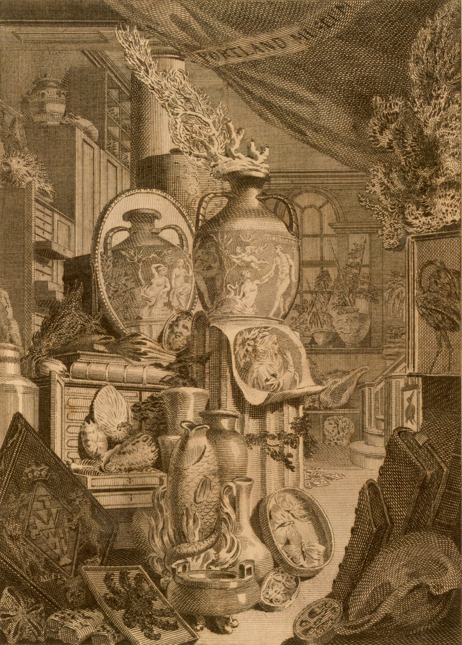 Portland Museum, 1786 by Charles Burney