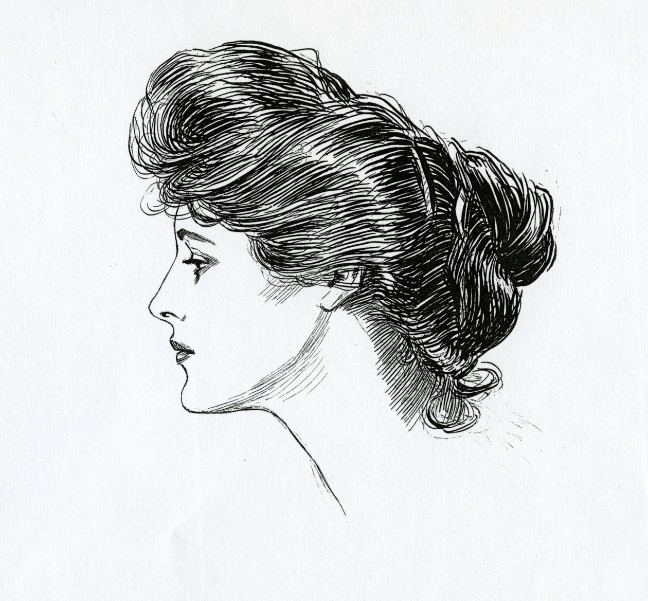 A Gibson Girl by Charles Dana Gibson