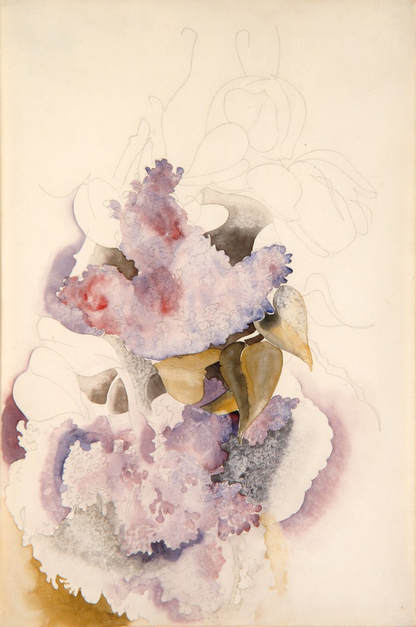 Lilacs by Charles Demuth