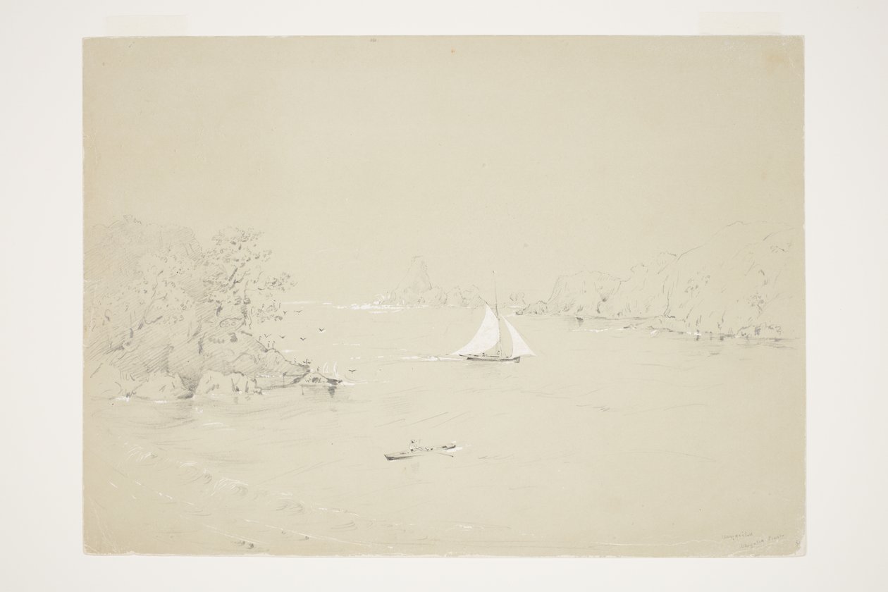 Wangaaihu, Wangaroa Coast by Charles Heaphy