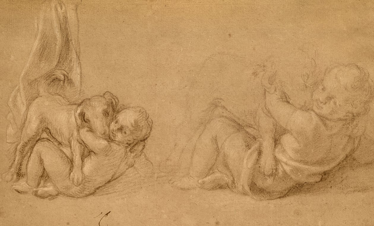 Study of a Child with a Dog by Charles Le Brun