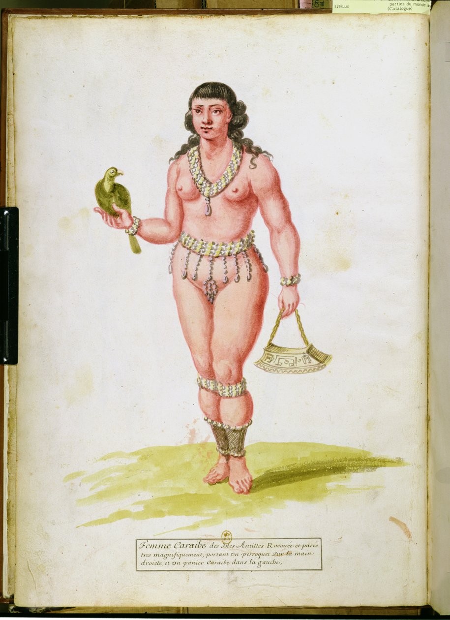 Native of the Caribbean with a parrot, from a manuscript on plants and civilization in the Antilles by Charles Plumier