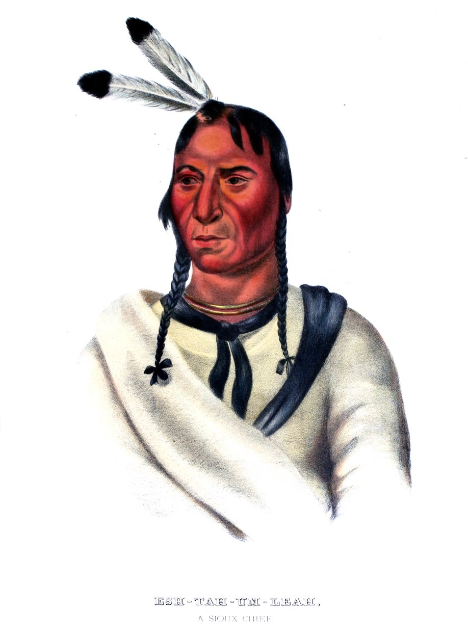Eshtahumbah (Sleepy Eyes), a Sioux Chief by Charles Bird King