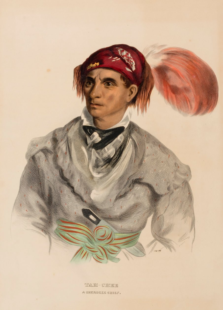 Tah-Chee (Dutch), A Cherokee Chief, from History of the Indian Tribes ...