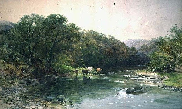 On the Dee, North Wales: Cattle Drinking by Charles Branwhite