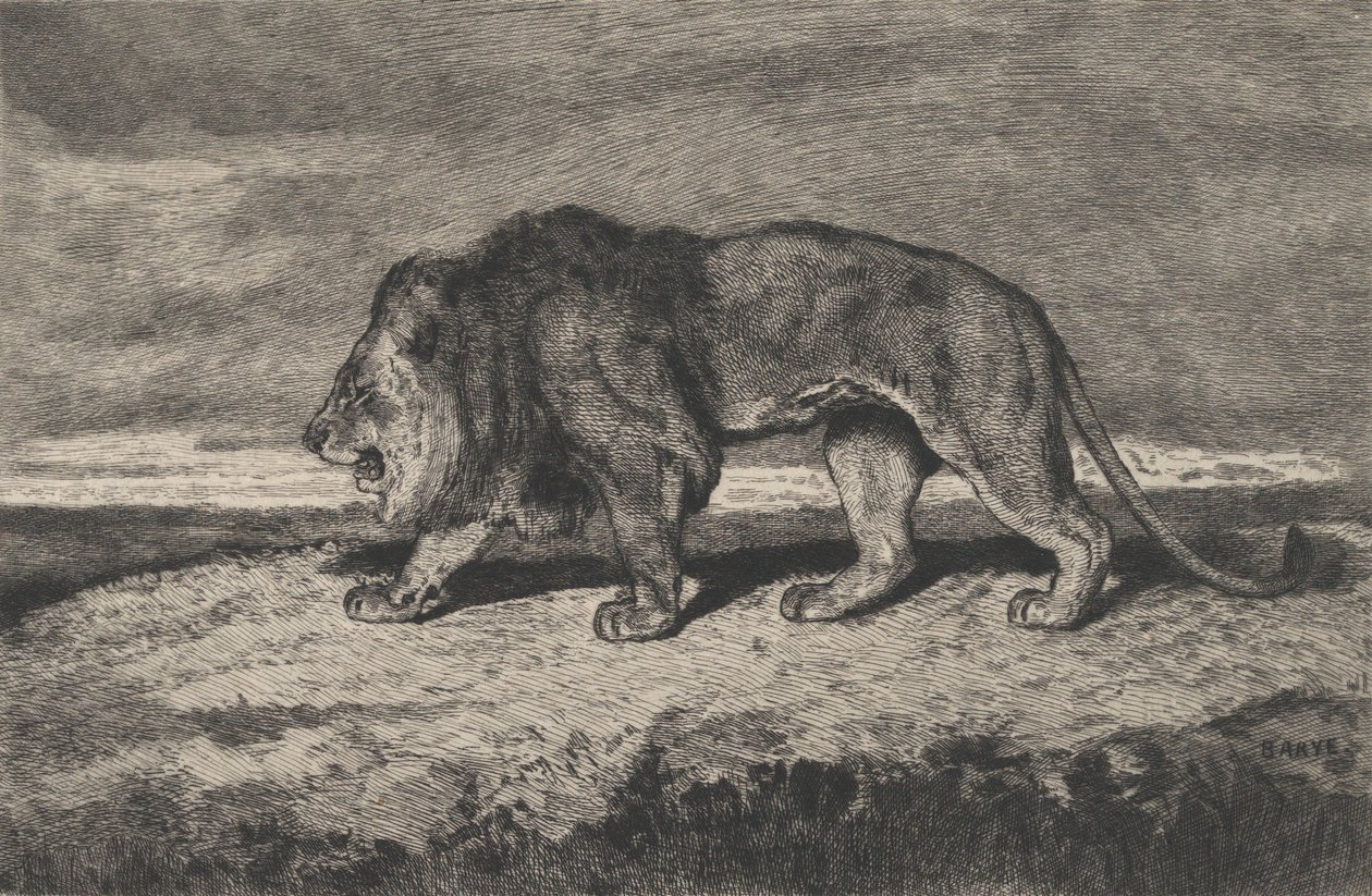 Lion walking by Charles Courtry