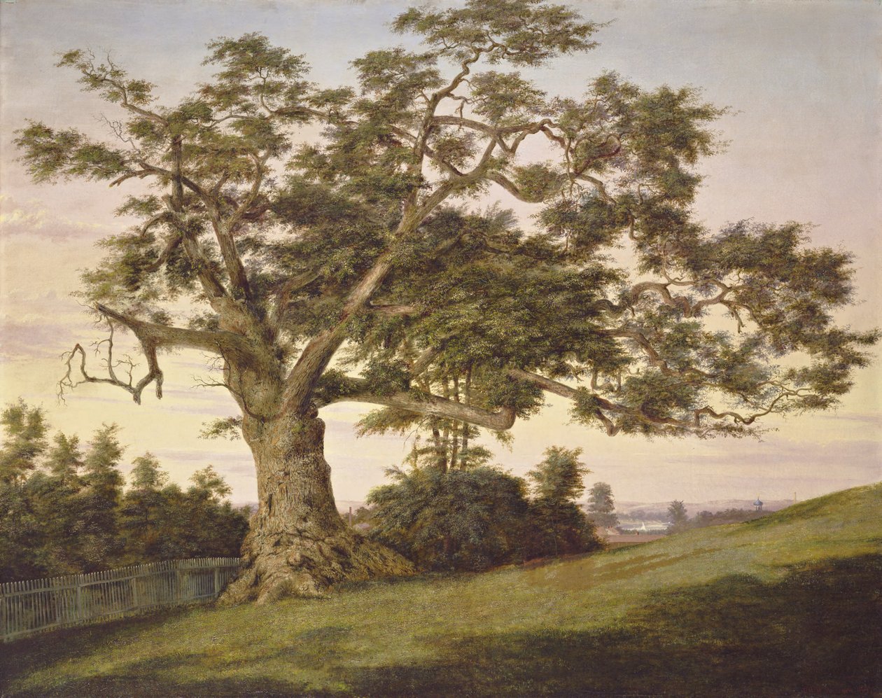 The Charter Oak by Charles de Wolf Brownell
