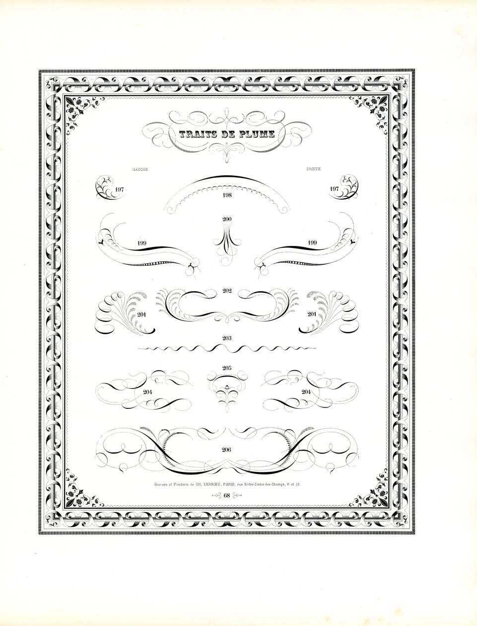 Calligraphic Pen Flourishes with Chain Pattern Border by Charles Derriey