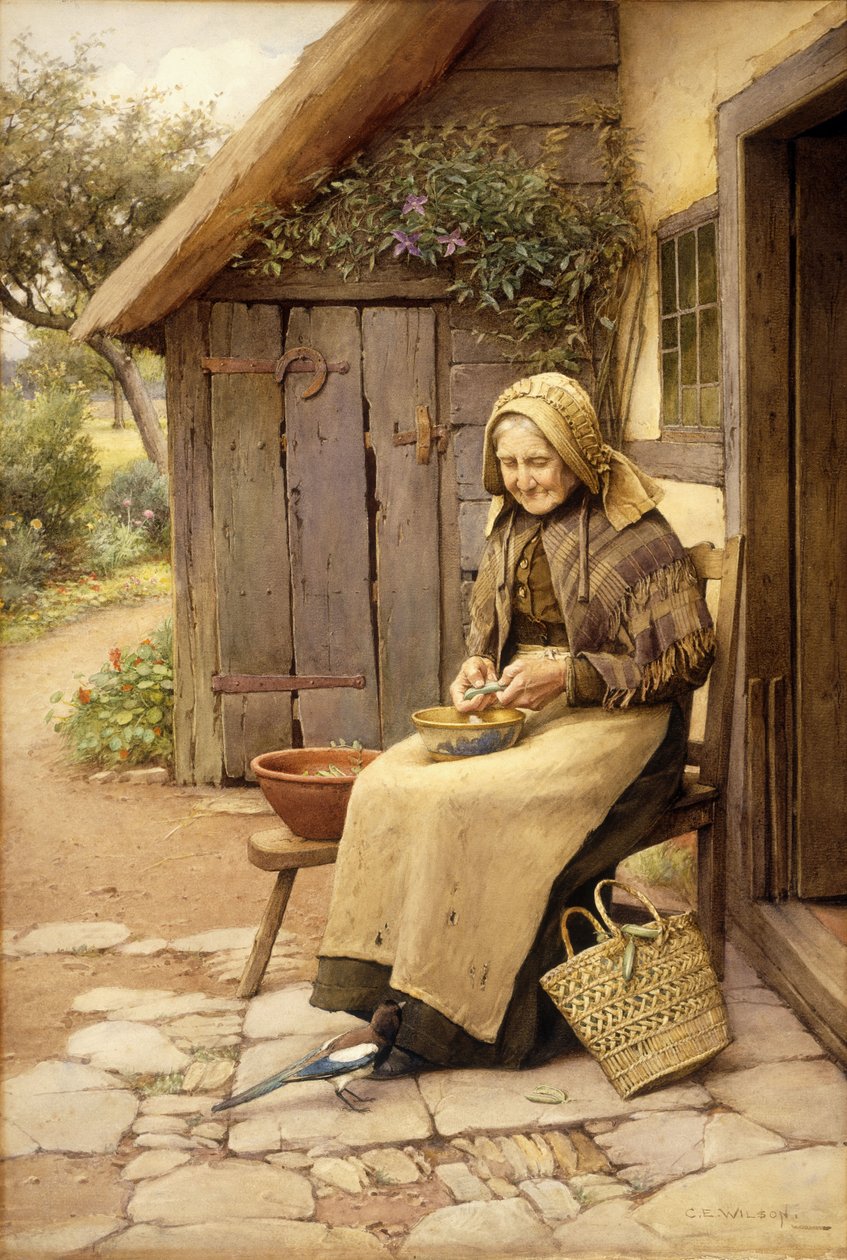 A Fine-Feathered Friend by Charles Edward Wilson