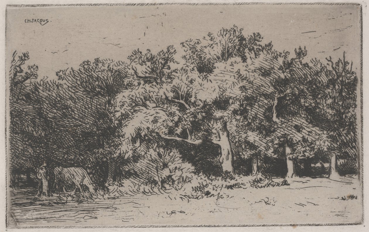 A Corner of the Forest of Fontainebleau by Charles Emile Jacque