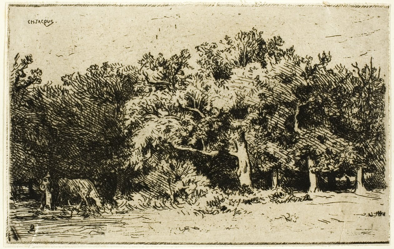 A Part of the Forest of Fontainebleau by Charles Emile Jacque