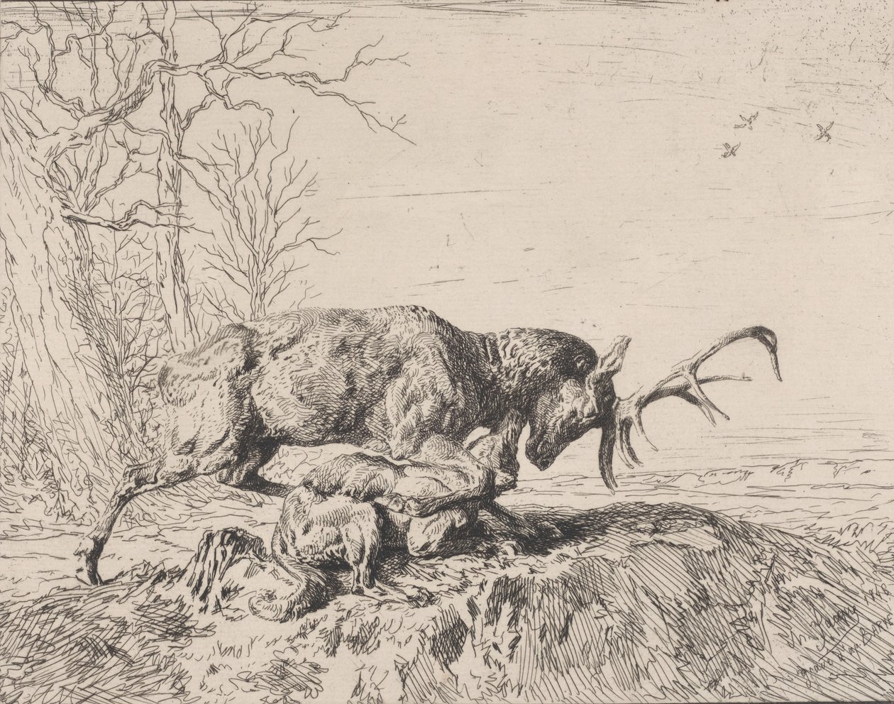 Stag Fighting a Wolf, after Antoine Louis Barye, 1846 by Charles Emile Jacque