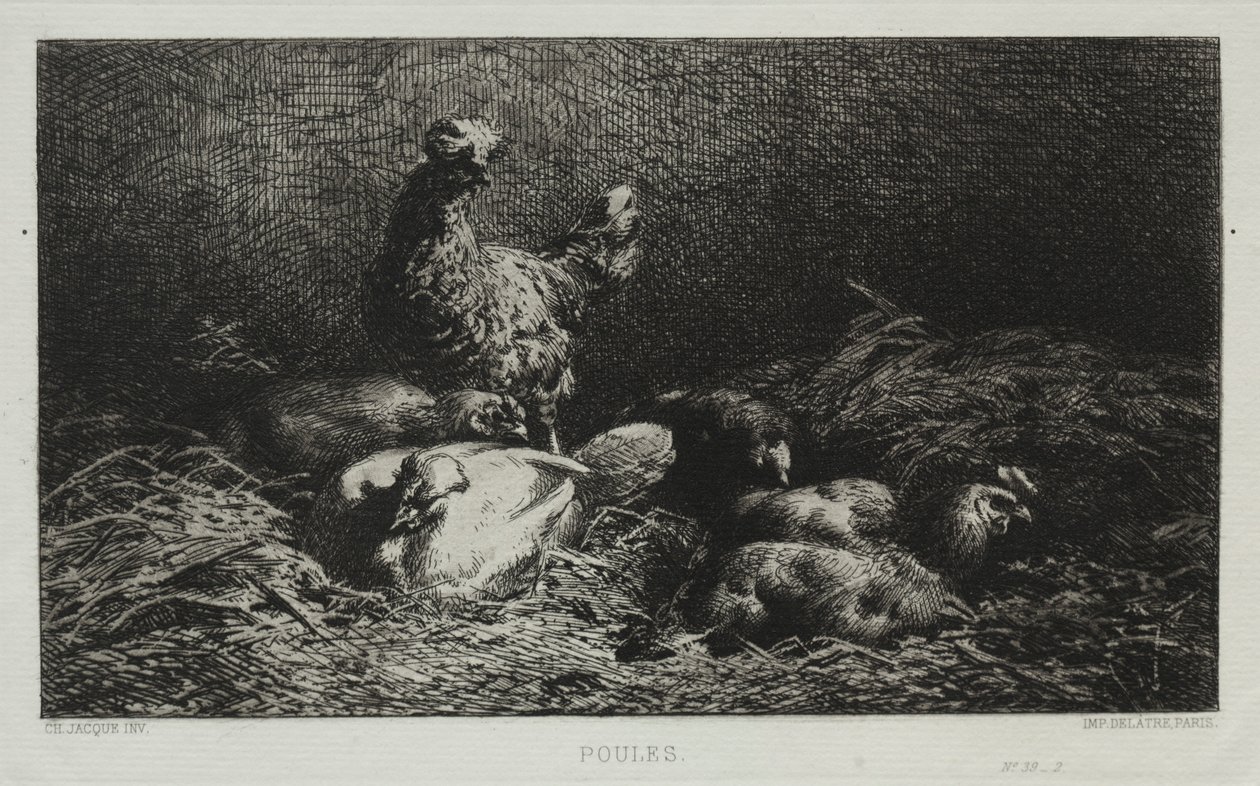 The Chickens by Charles Emile Jacque