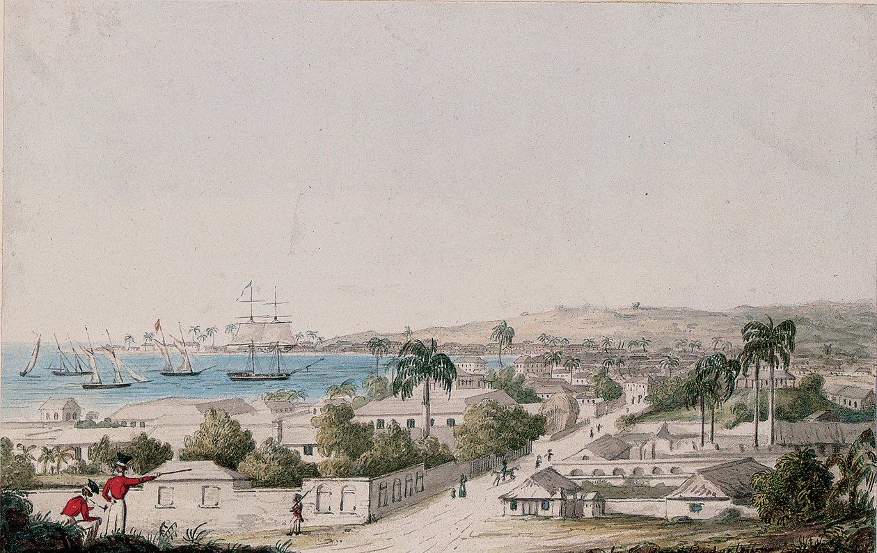 A View of Carlisle Bay and Bridgetown, Barbados by Charles Emilius Gold