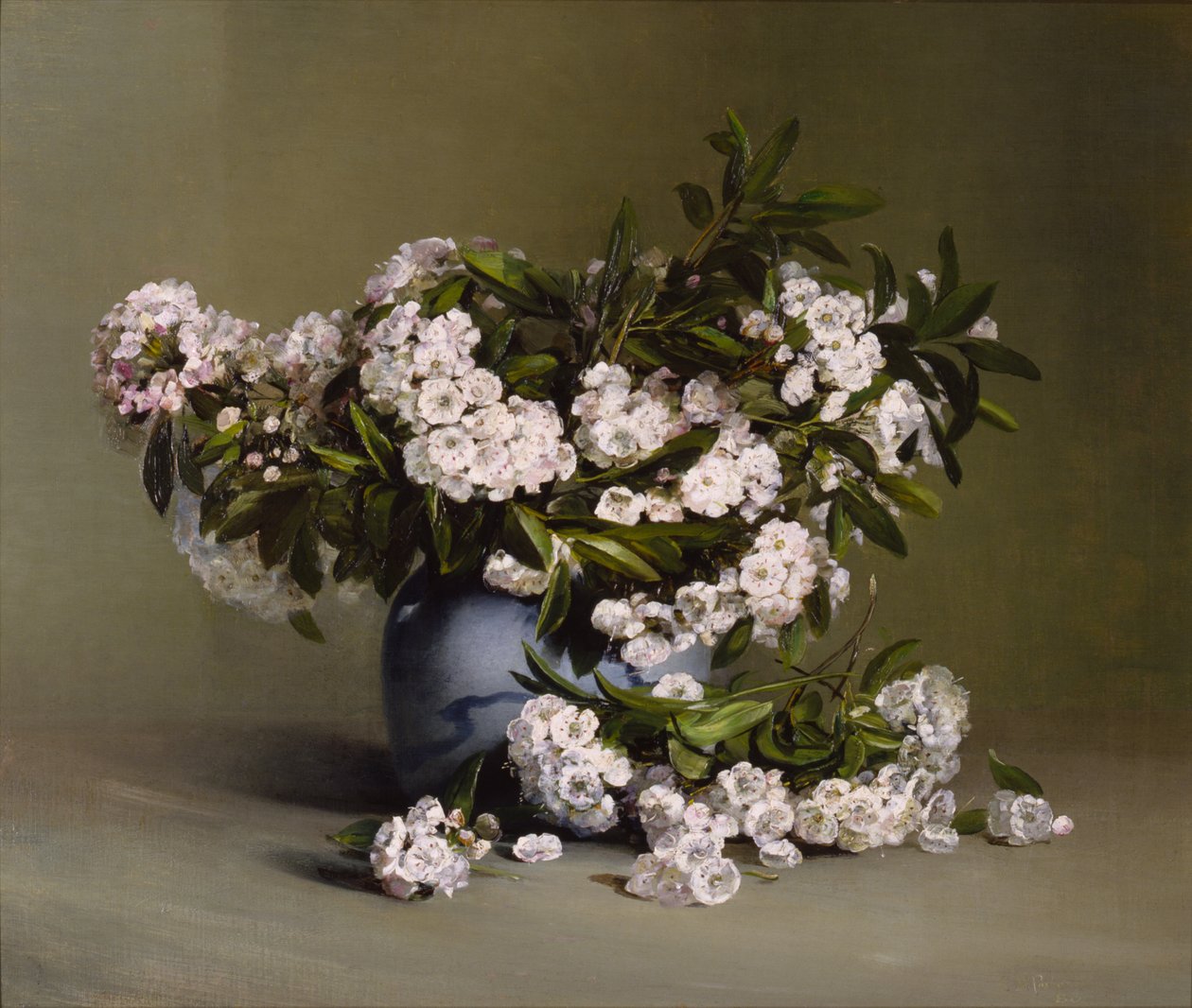 Mountain Laurel by Charles Ethan Porter