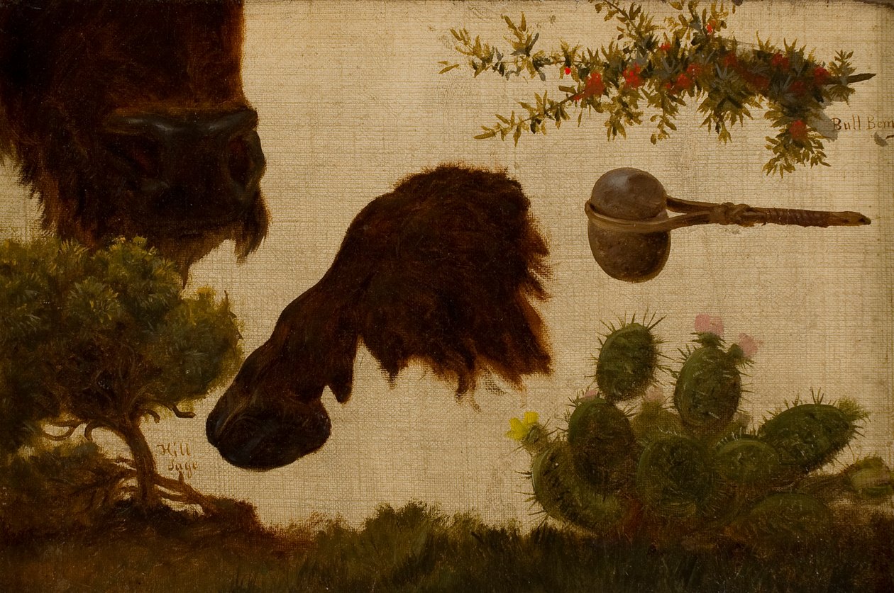 Study for The Wounded Buffalo: hill sage, buffalo head and hoof, bull berry, stone axe and cactus by Charles Ferdinand Wimar