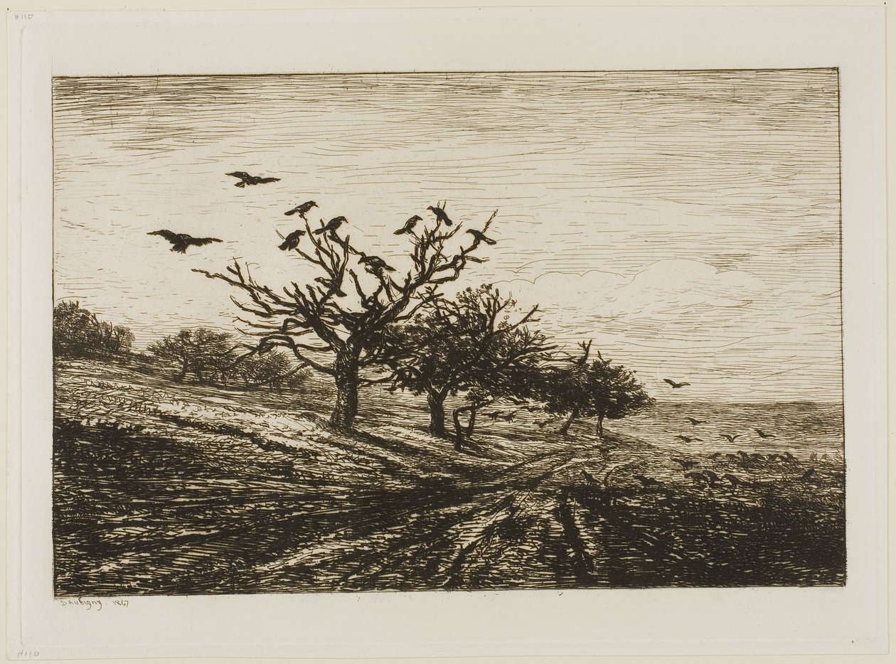 Crows in a Tree by Charles Francois Daubigny
