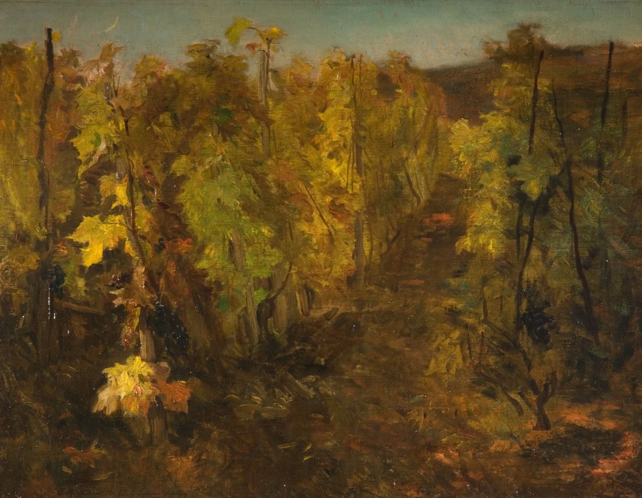 La Vigne by Charles Francois Daubigny