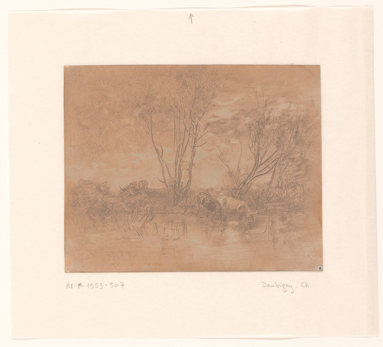 Landscape with Drinking Cows by Charles Francois Daubigny