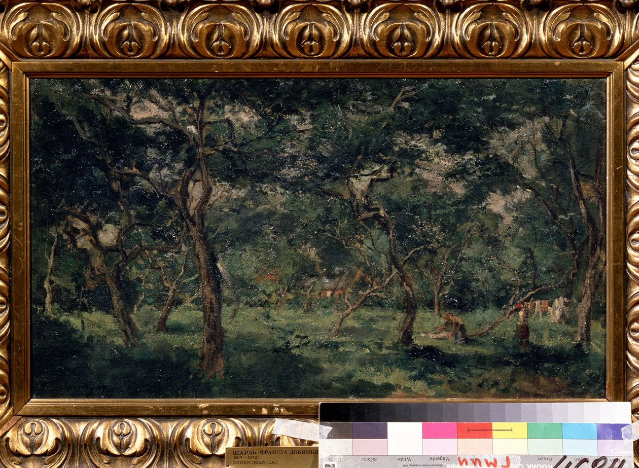 Olive Orchard by Charles Francois Daubigny