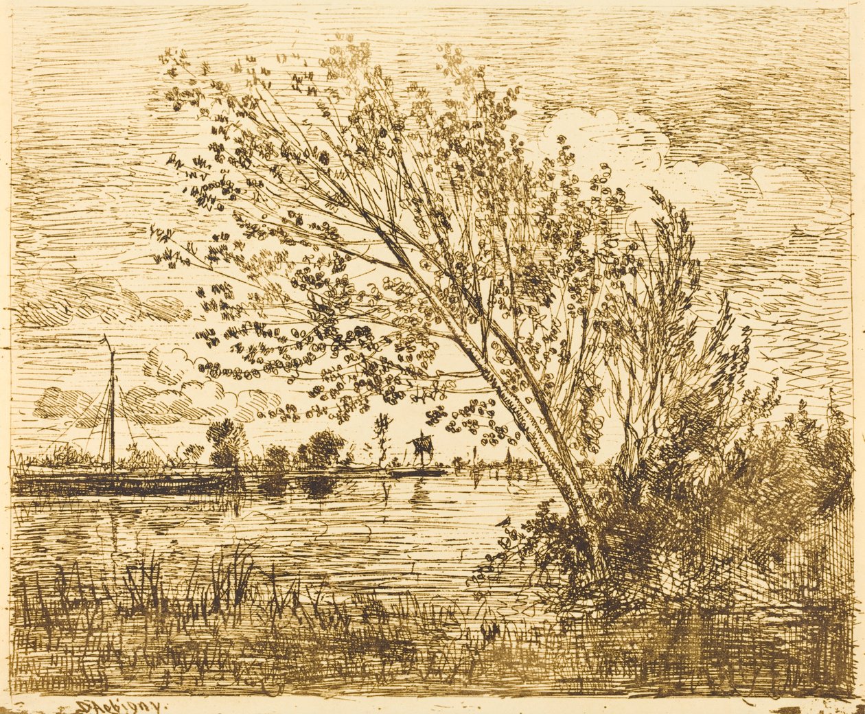 Stand of Alders by Charles Francois Daubigny