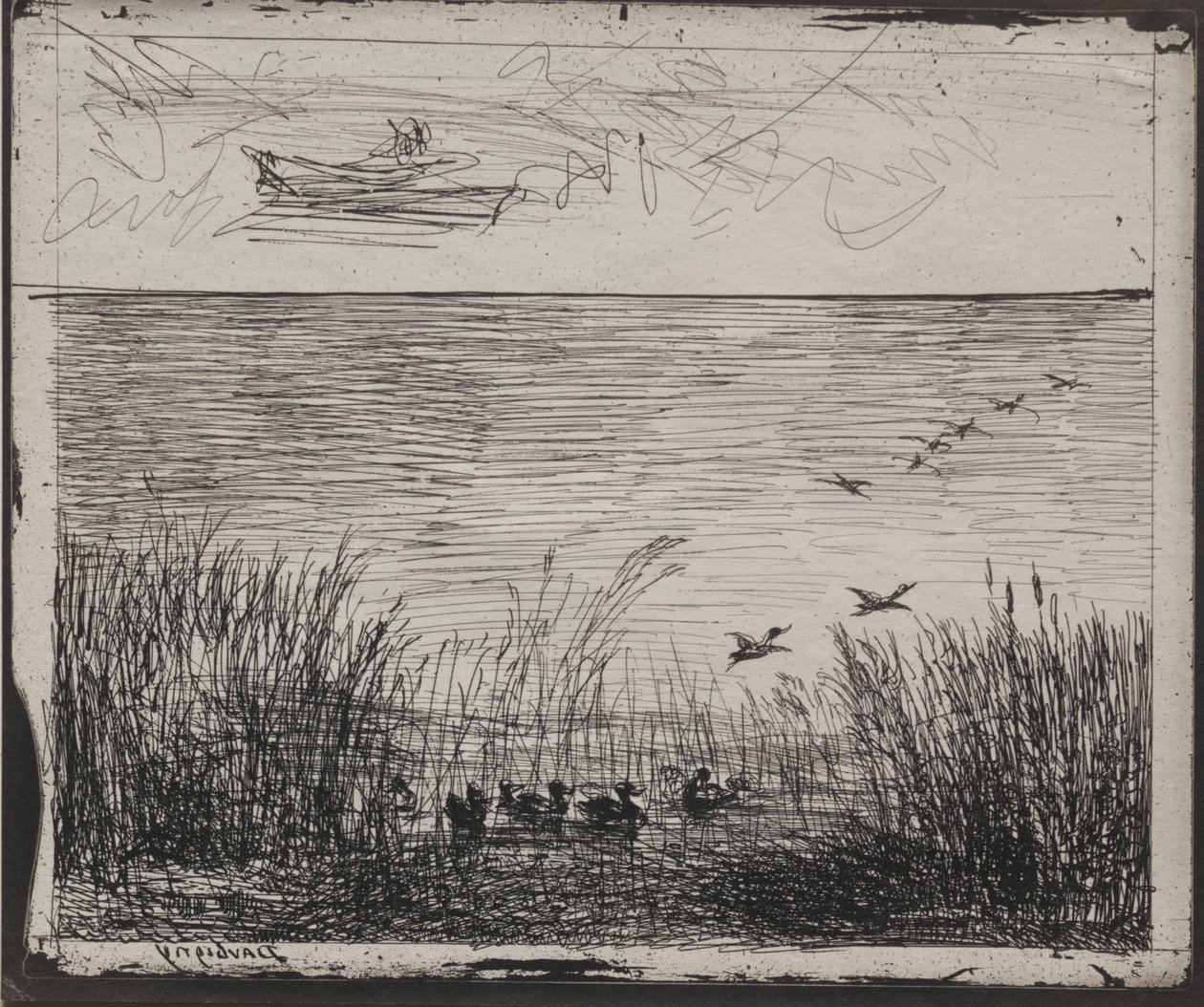 Swamp with Ducks by Charles Francois Daubigny