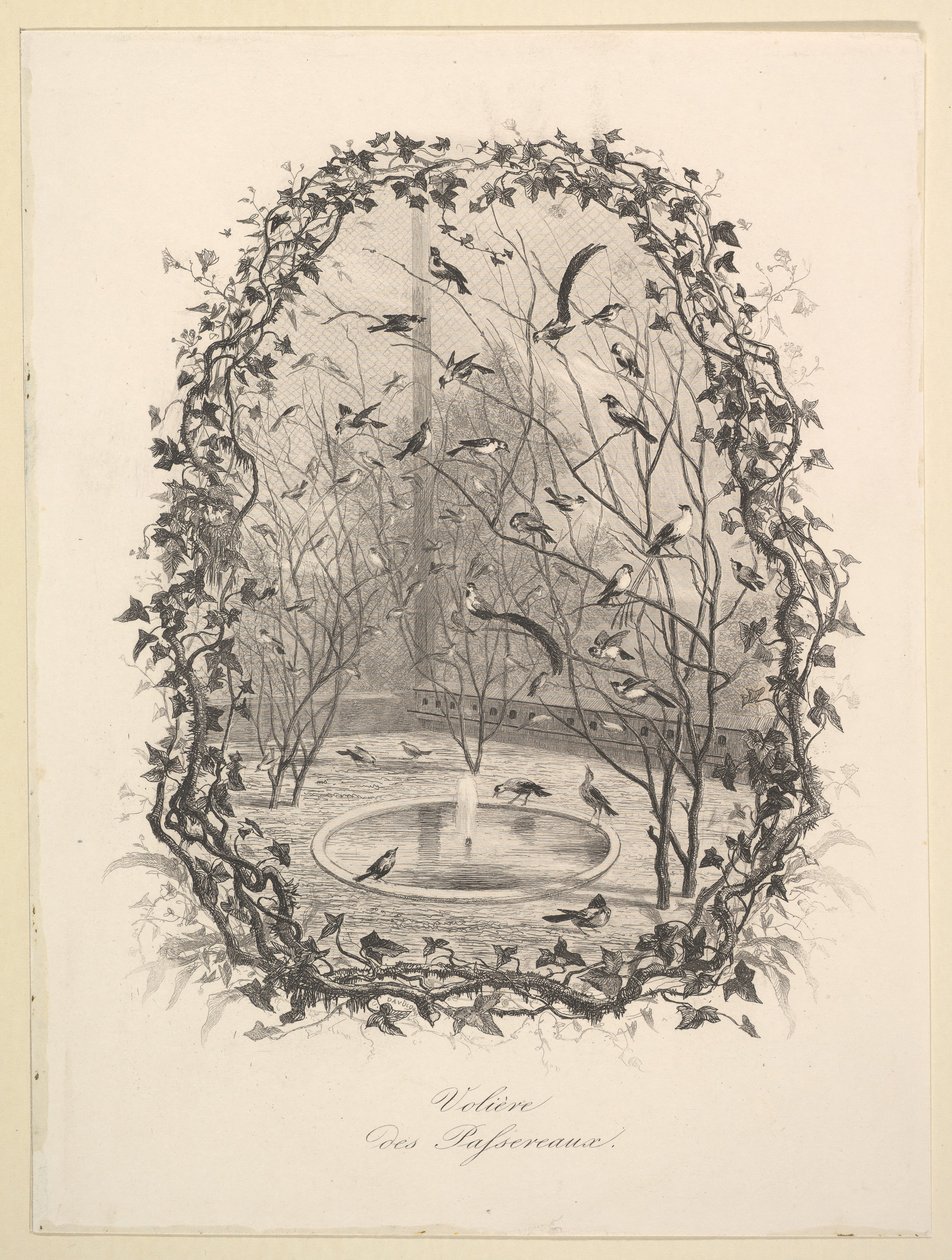 The Sparrow Aviary by Charles Francois Daubigny