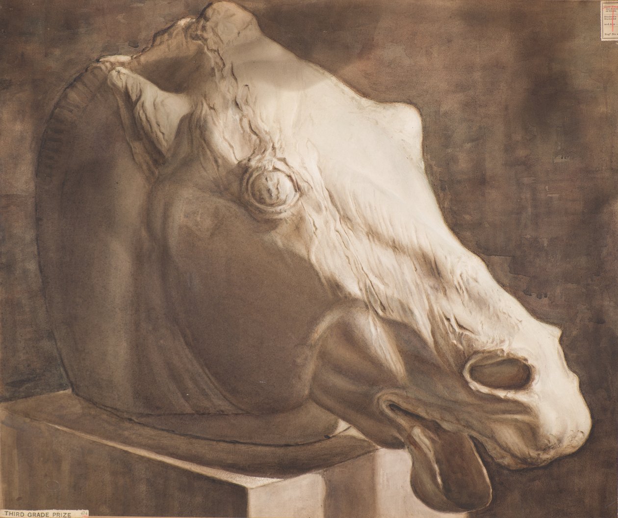 Study - Horse