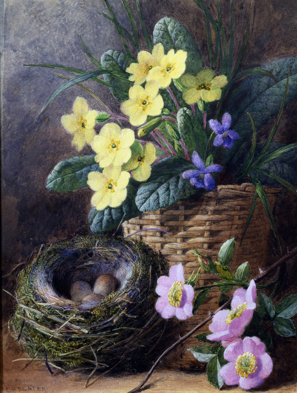 Still Life of Primroses, Violets and Roses. Still Life with Nest and ...