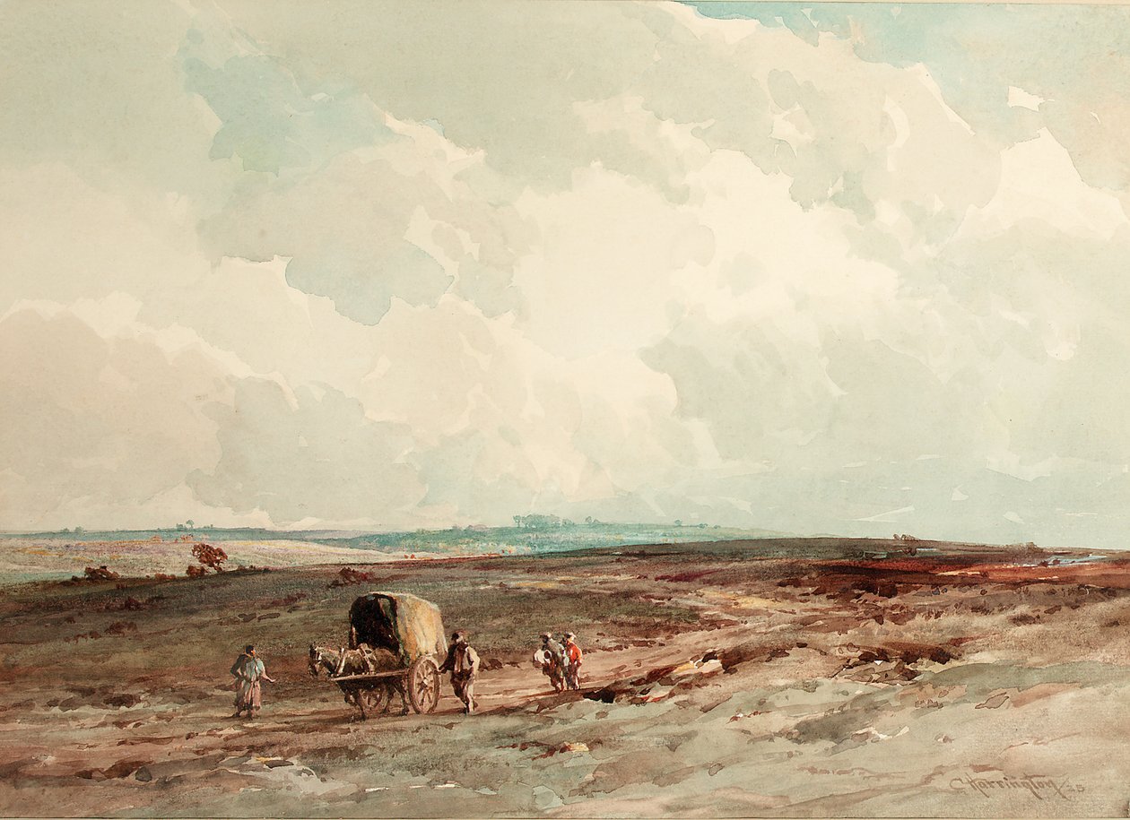 On Ashdown Forest Reserve by Charles Harrington