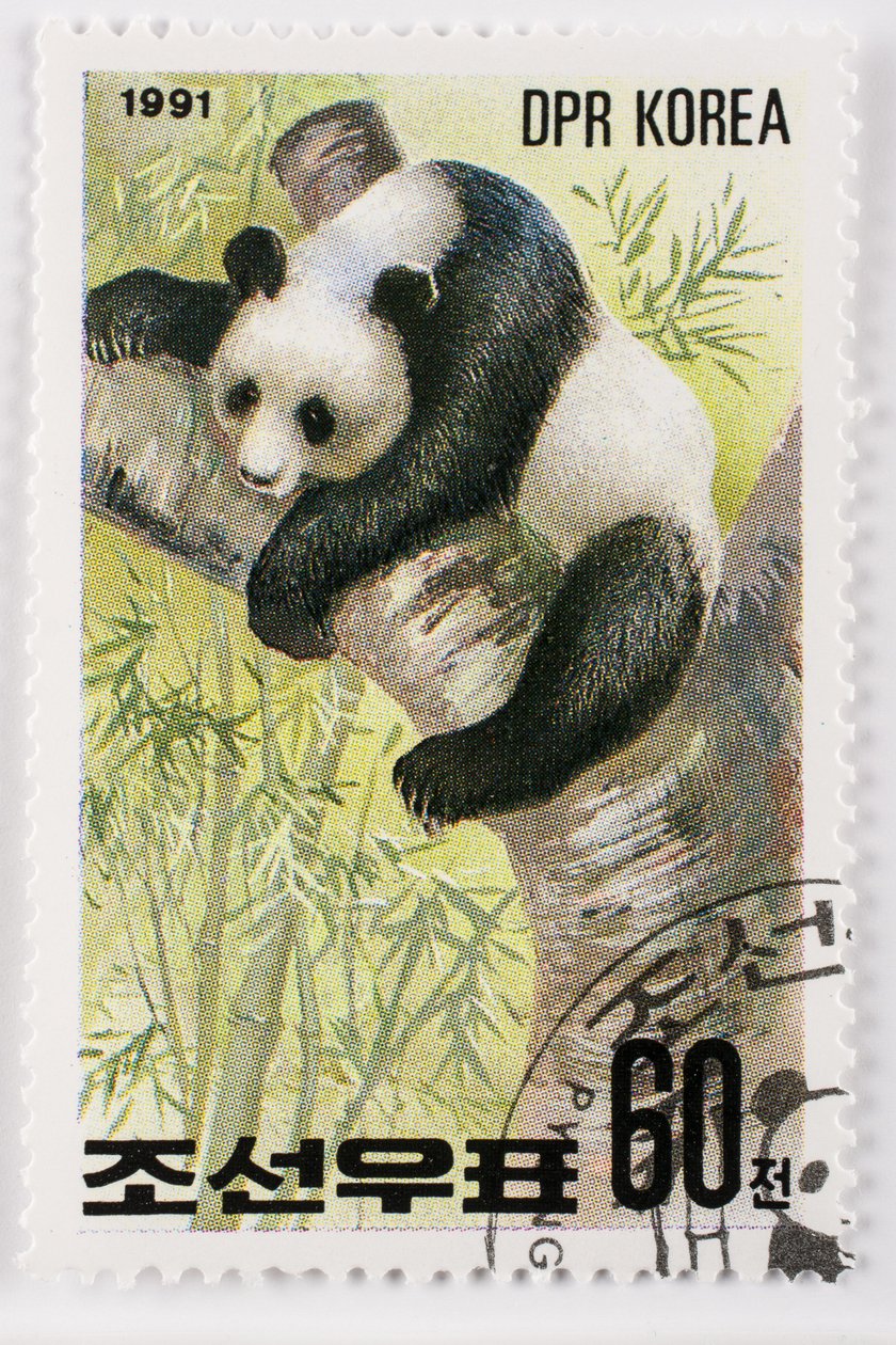 Stamp, North Korea, Giant Panda by Augustus Kollner