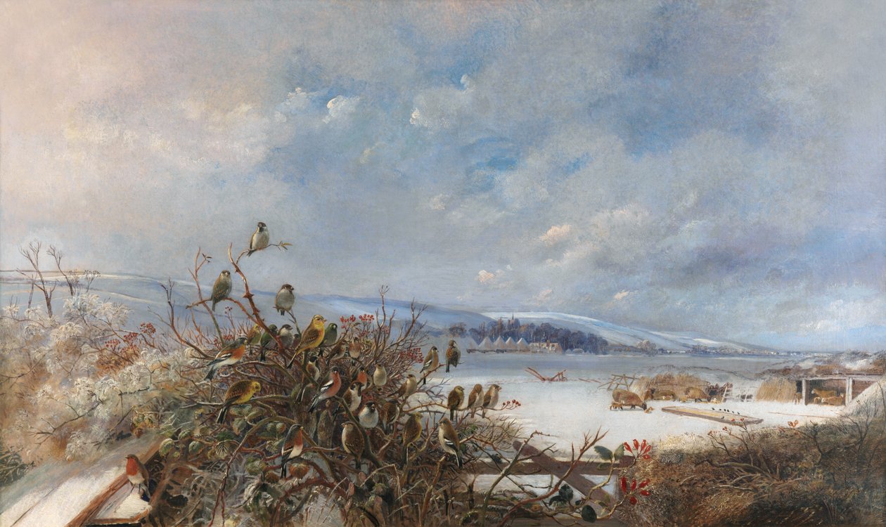Birds of a Feather by Charles Henry Clifford Baldwyn