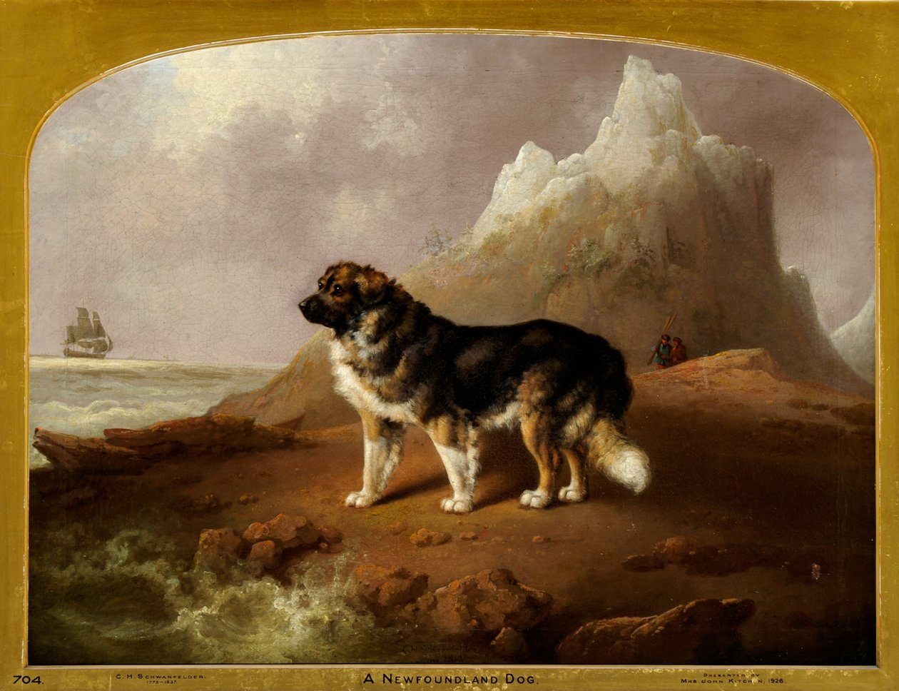 A Newfoundland Dog by Charles Henry Schwanfelder