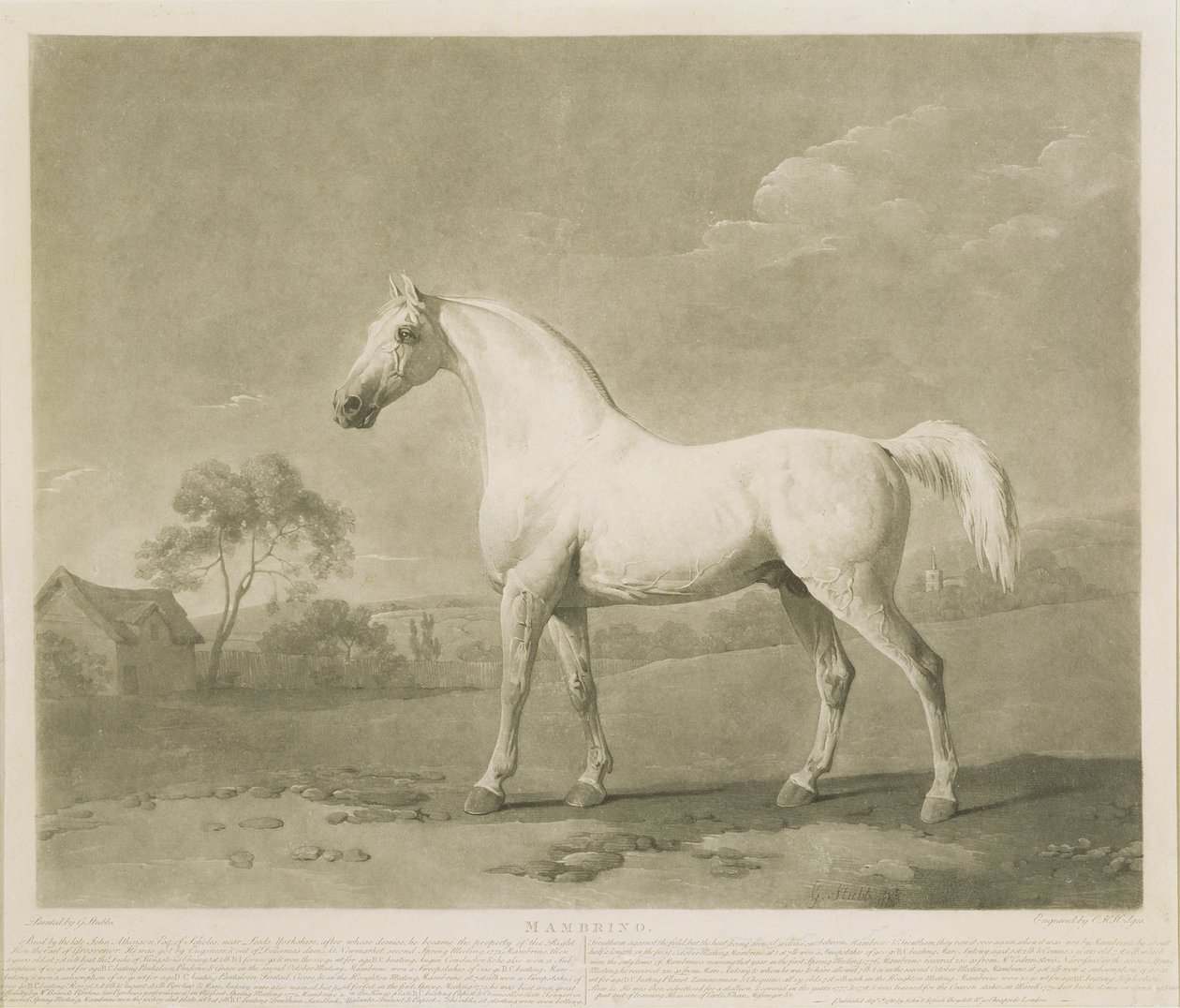 Mambrino, after George Stubbs by Charles Howard Hodges