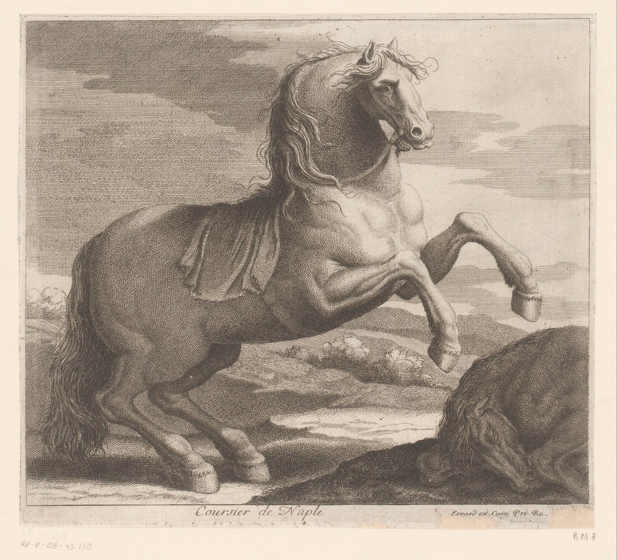 Rearing Horse (series title: Animal Series) by Charles II Errard (attributed to)