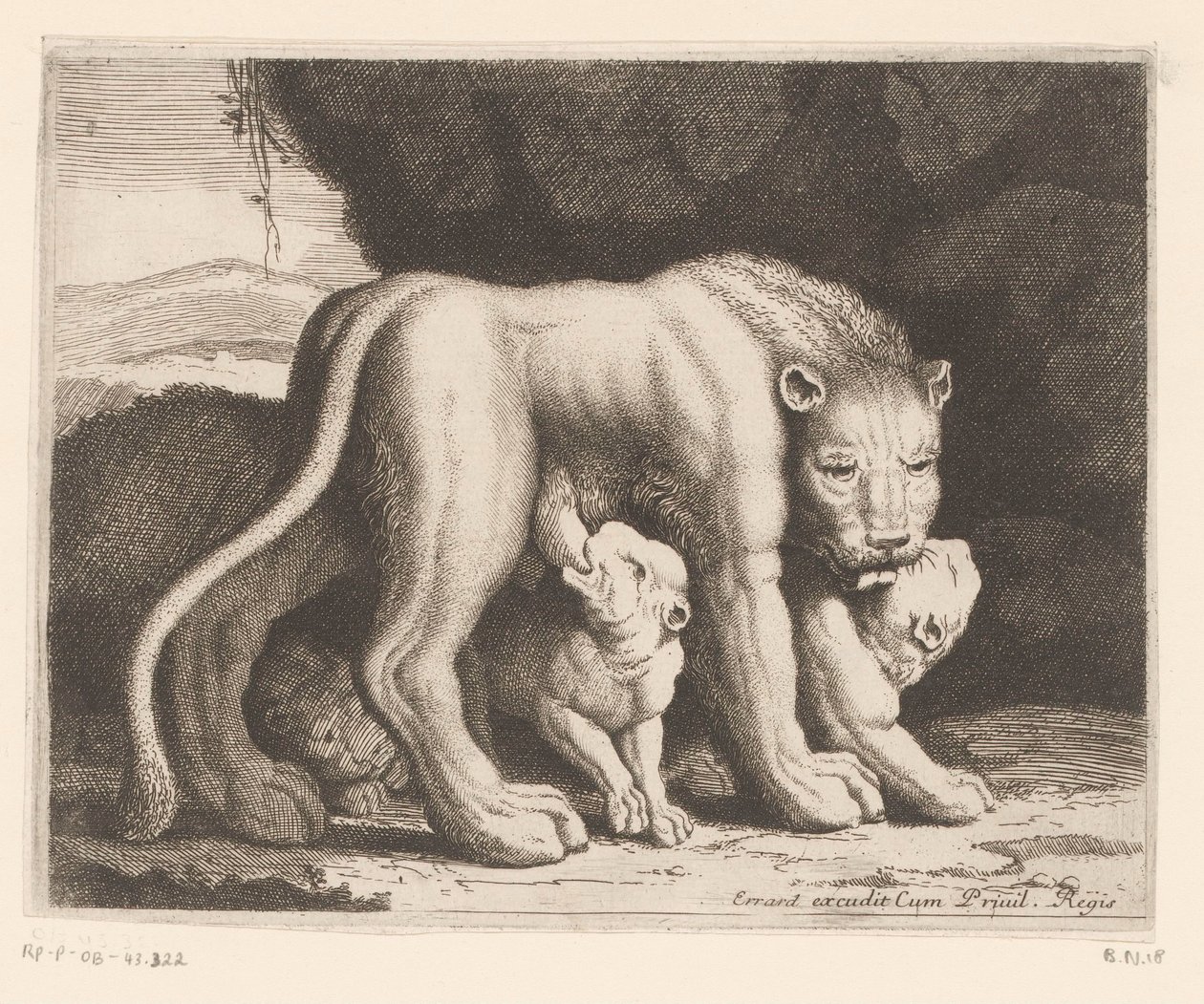Suckling Lioness (Animal Series) by Charles II Errard (attributed to)