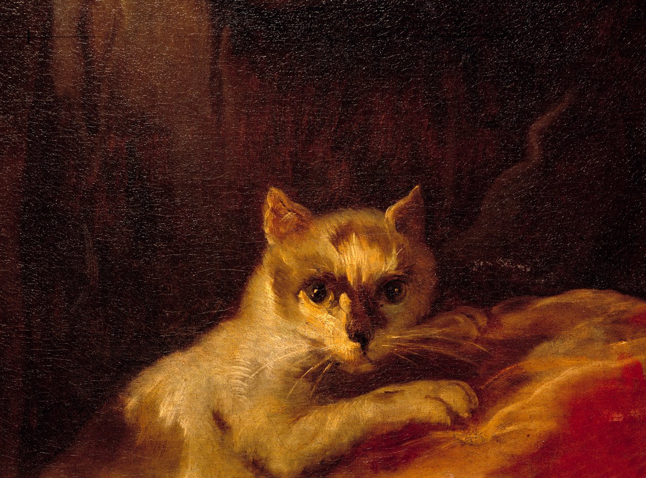 Mademoiselle de Charolais (detail) by Charles Joseph Natoire