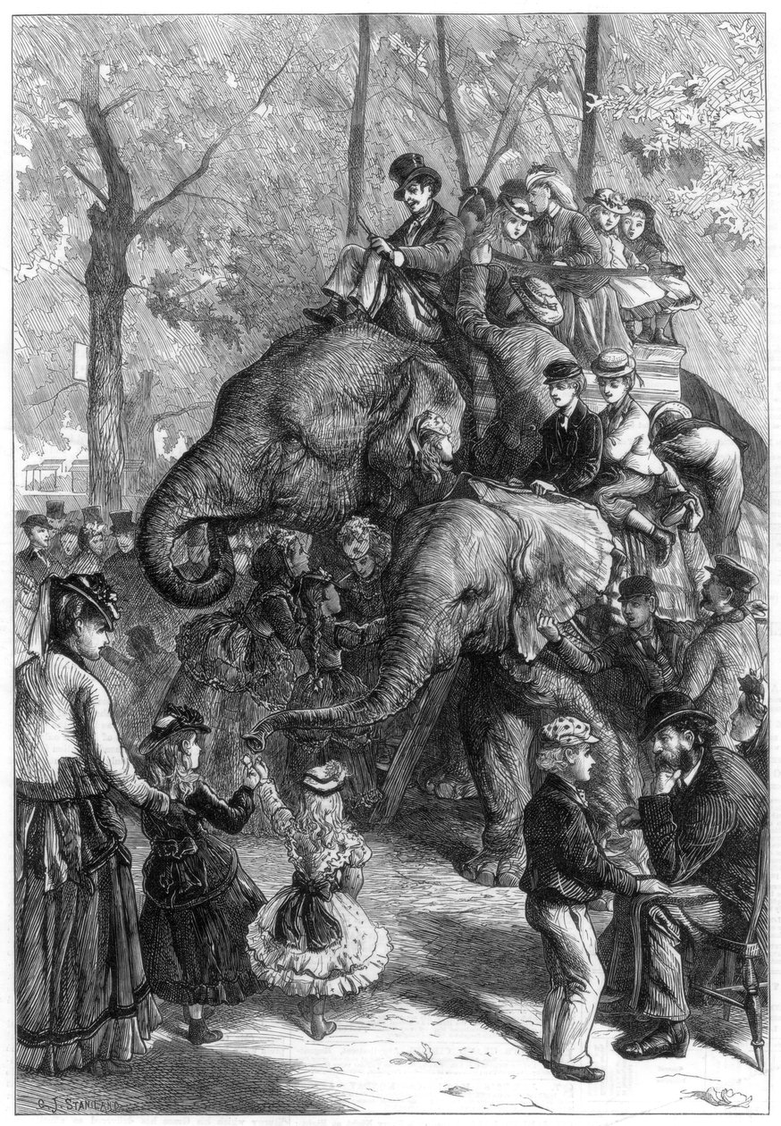 Monday Afternoon at the Zoological Society