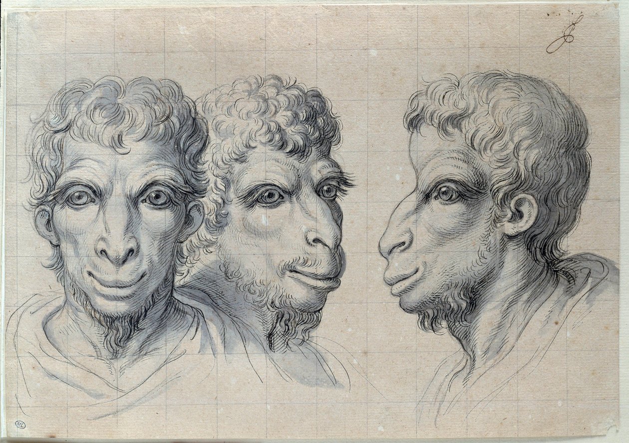 Studies of three heads of men recalling the physiognomy of the camel by Charles Le Brun