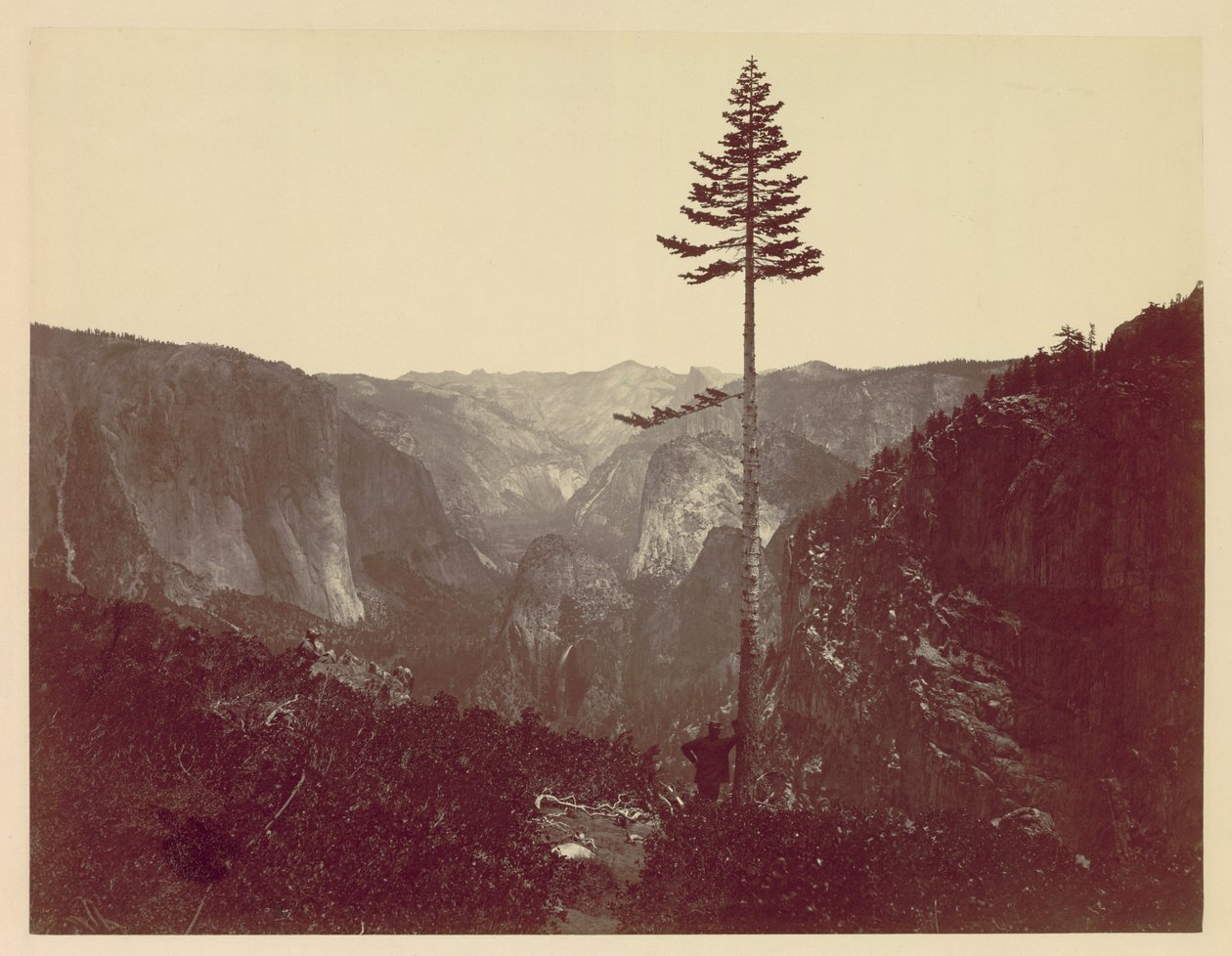 Yosemite Valley from Mariposa Trail, 1865 by Charles Leander Weed