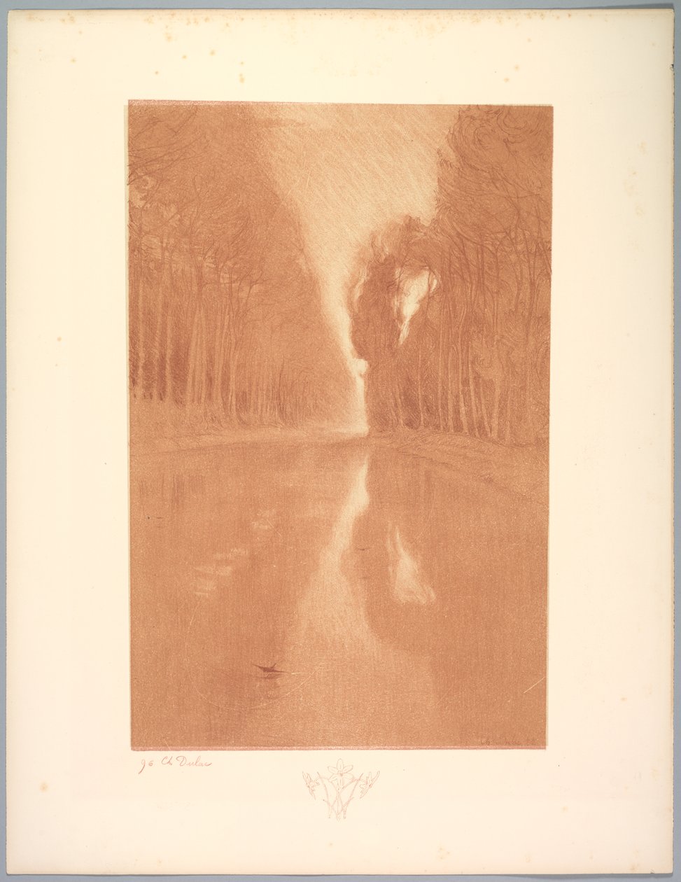Suite of Landscapes: Landscape, Plate 2, Remarque, Starflowers by Charles Marie Dulac