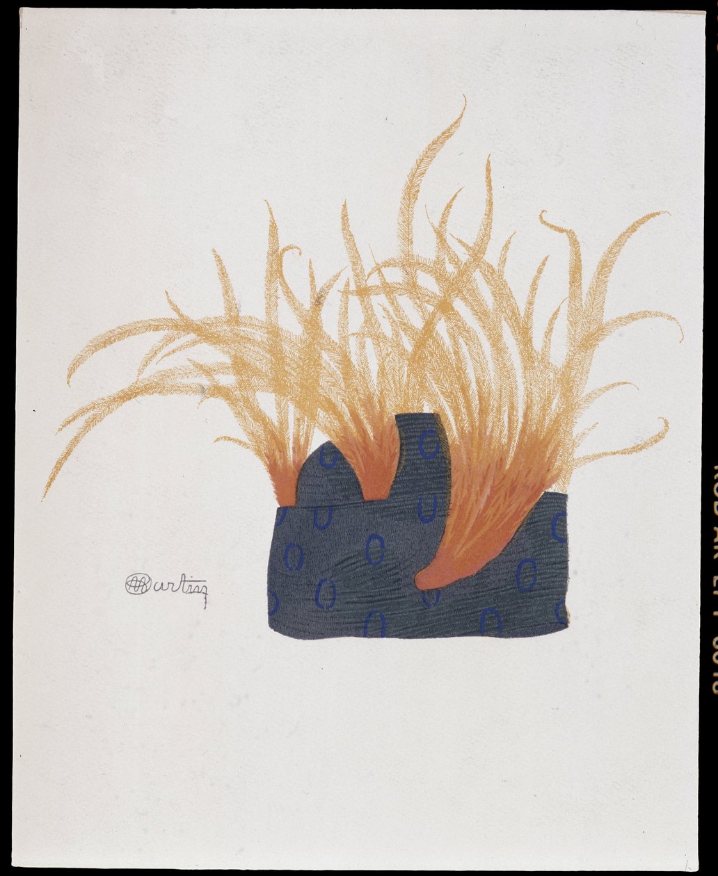 Feathered Hat - La Mode en 1912 by Marcelle Demay, illustration by Charles Martin by Charles Martin