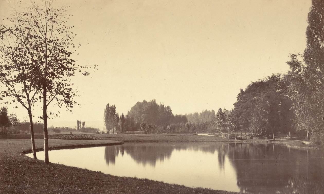 Bois de Boulogne, 1858 by Charles Marville